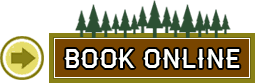 book online